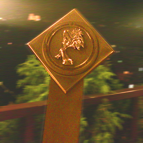 Награда за най-добър уеб сайт Реклама Експо 2009